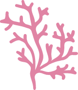 Branching Coral