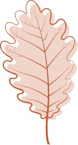 Pink Aspen Leaf